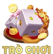Hoa hồng cao x8812